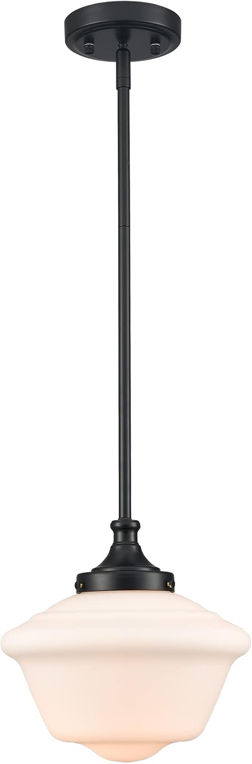 SAMTEEN Modern Farmhouse Black Schoolhouse Light Fixtures