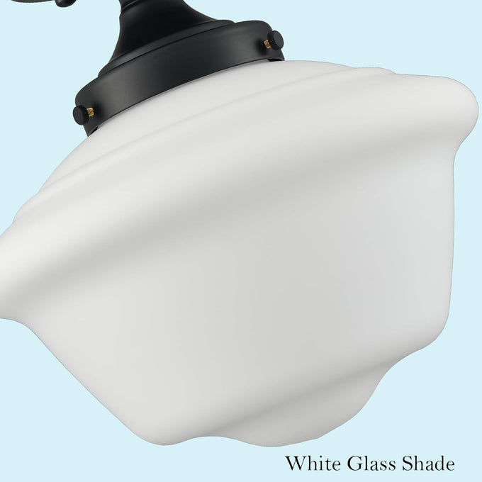 SAMTEEN Modern Farmhouse Black Schoolhouse Light Fixtures