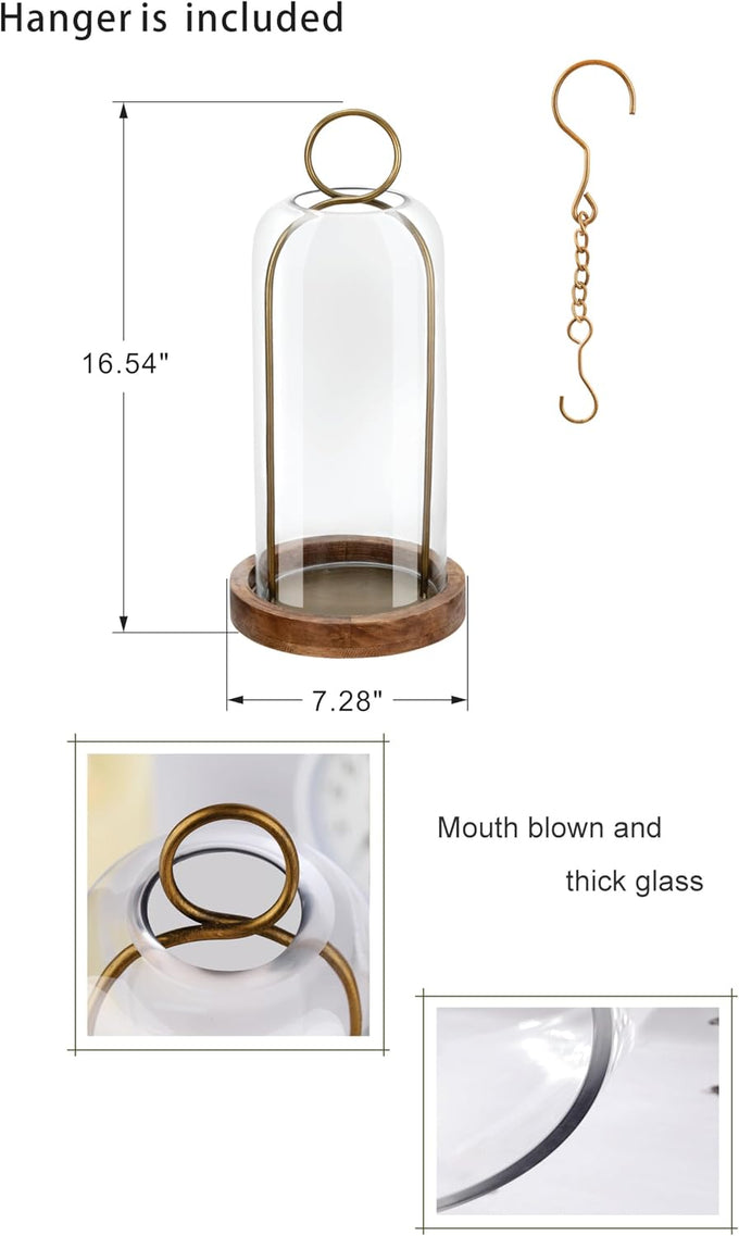 16" High Versatile Vintage Brass Metal Candle Holder with Handmade Sturdy Glass Dome and Natural Wooden Base for Pillar Candle & Plants, Industrial, Farmhouse, Shabby Chic, Display Cloche Bell Jars