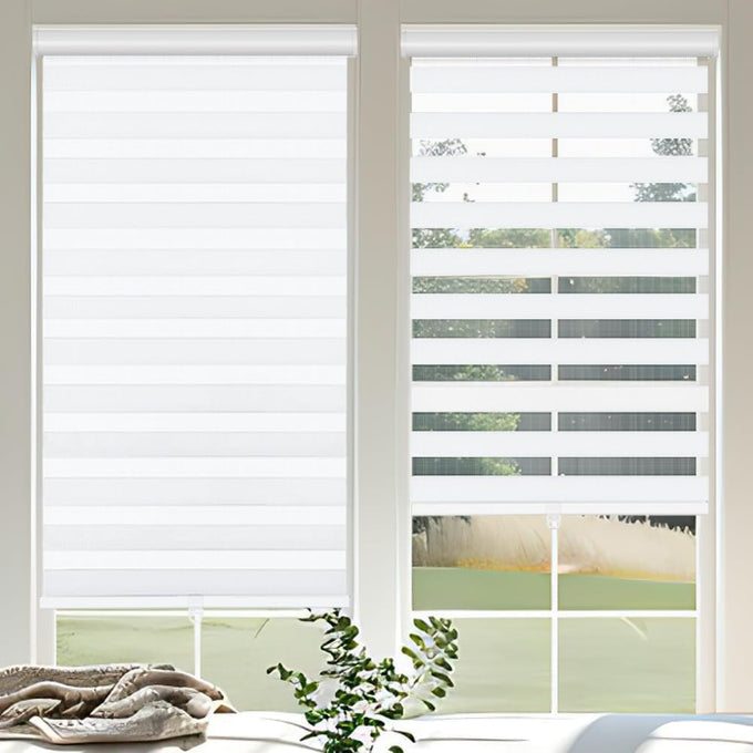 Cordless Zebra Blinds for Windows, 46" W x 72" H Zebra Roller Shades with Valance Free Stop Zebra Roller Shades, Light Control Window Treatments Dual Layer Sheer Blinds for Day and Night, Grey