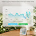 GoveeLife WiFi Thermometer Hygrometer 5-in-1, Large LCD 3-Pack with Gateway