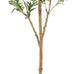 Bellacat Faux Olive Tree with Natural Wood Trunk, 7ft, 1Pack