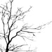 Stickerbrand© Nature Vinyl Wall Art Bare Tree Branch Wall Decal Sticker - Black, 72" x 42", Right to Left. Easy to Apply & Removable.