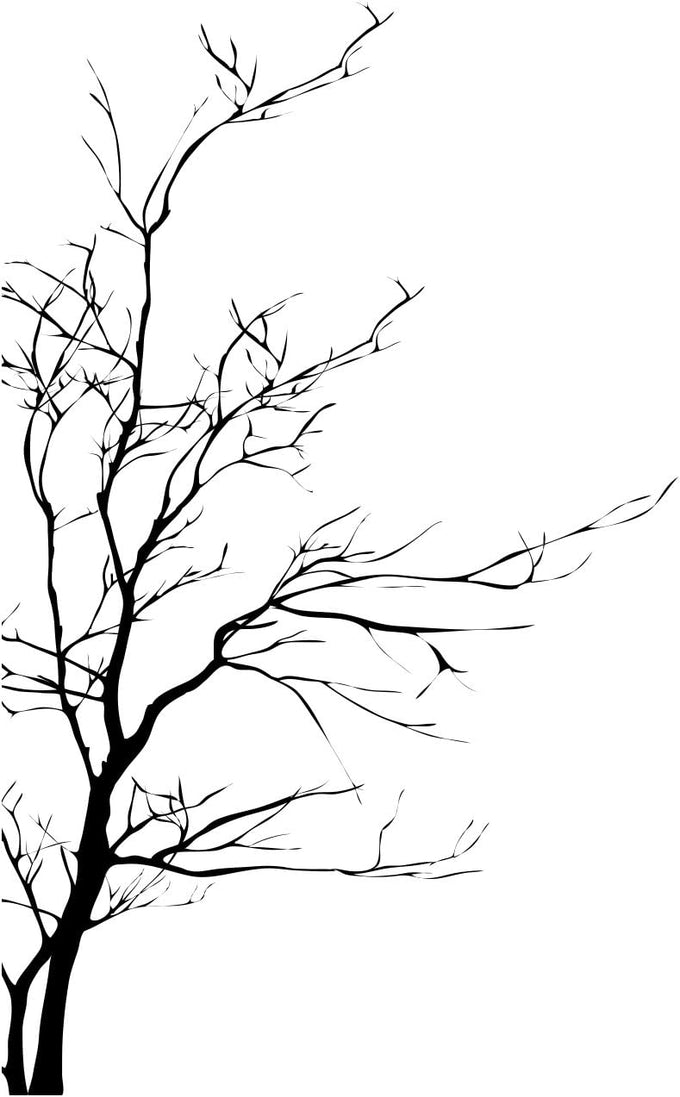 Stickerbrand© Nature Vinyl Wall Art Bare Tree Branch Wall Decal Sticker - Black, 72" x 42", Right to Left. Easy to Apply & Removable.