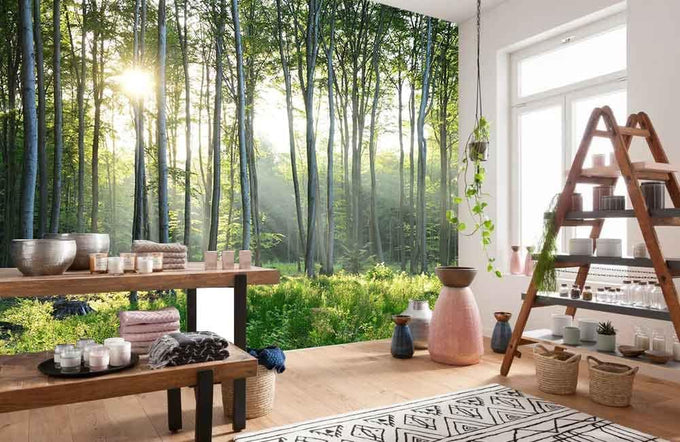 Reyhui Sunshine Forest Mural Wallpaper Landscape Tree