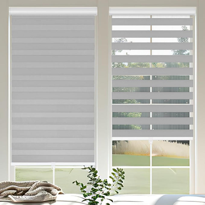 Cordless Zebra Blinds for Windows, 46" W x 72" H Zebra Roller Shades with Valance Free Stop Zebra Roller Shades, Light Control Window Treatments Dual Layer Sheer Blinds for Day and Night, Grey