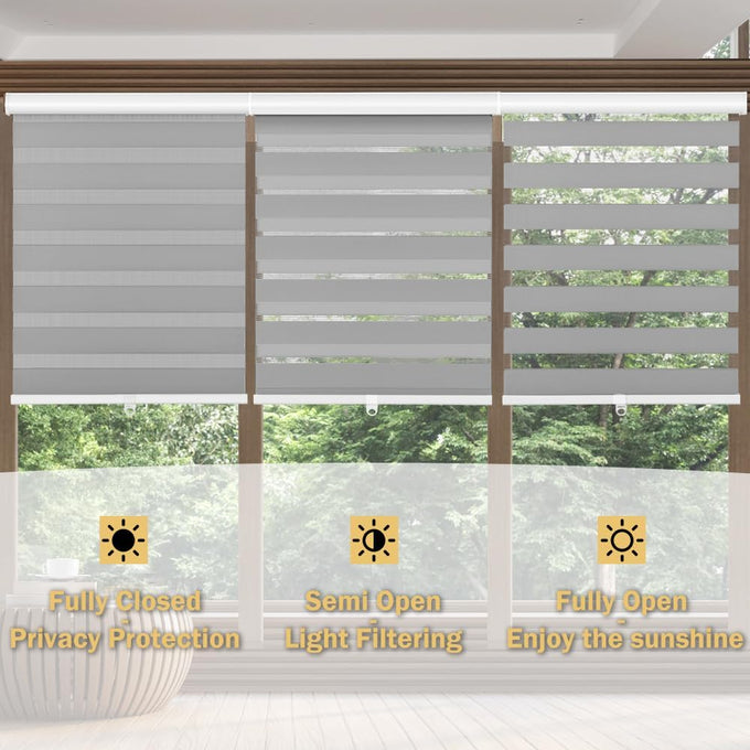 Cordless Zebra Blinds for Windows, 46" W x 72" H Zebra Roller Shades with Valance Free Stop Zebra Roller Shades, Light Control Window Treatments Dual Layer Sheer Blinds for Day and Night, Grey