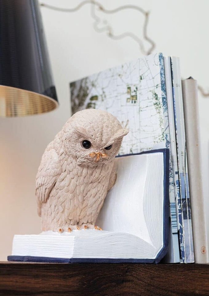 moses. B-Uhu-ch Bookend Decorative Object for Bookcase, 3D Owl as Stopper for Favourite Books, 83357, Large, Greige, Blue, White