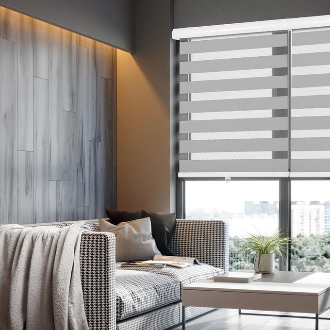 Cordless Zebra Blinds for Windows, 46" W x 72" H Zebra Roller Shades with Valance Free Stop Zebra Roller Shades, Light Control Window Treatments Dual Layer Sheer Blinds for Day and Night, Grey
