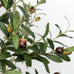 6FT Artificial Olive Tree Indoor Tall Faux with Planter&Basket