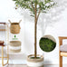 6FT Artificial Olive Tree Indoor Tall Faux with Planter&Basket