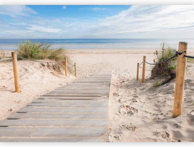 artgeist - Peel and Stick Wallpaper, Decor for Bedroom Beach Sea 154x110 in