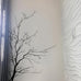Stickerbrand© Nature Vinyl Wall Art Bare Tree Branch Wall Decal Sticker - Black, 72" x 42", Right to Left. Easy to Apply & Removable.
