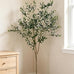 6FT Artificial Olive Tree Indoor for Living Room Decor with Planter