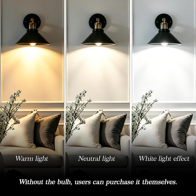 Black & Gold Industrial Wall Sconce, Vintage Farmhouse Lamp