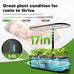 Ahopegarden Hydroponics Growing System Kit: 12 Pods with LCD Control Panel