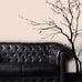 Stickerbrand© Nature Vinyl Wall Art Bare Tree Branch Wall Decal Sticker - Black, 72" x 42", Right to Left. Easy to Apply & Removable.
