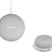 Google Nest Mini 1st Generation Bluetooth Speaker (International Version) with US Power Adapter (Chalk), Gray, GG1STAPG1