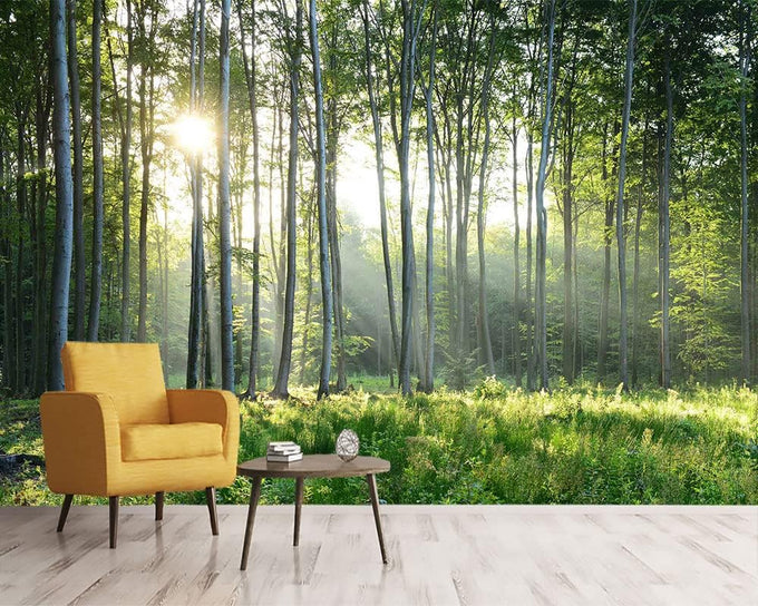 Reyhui Sunshine Forest Mural Wallpaper Landscape Tree