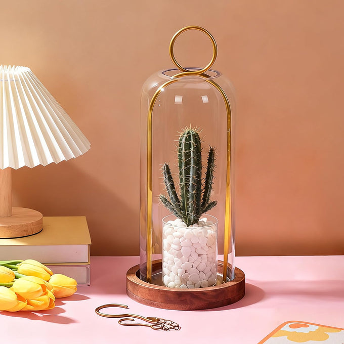16" High Versatile Vintage Brass Metal Candle Holder with Handmade Sturdy Glass Dome and Natural Wooden Base for Pillar Candle & Plants, Industrial, Farmhouse, Shabby Chic, Display Cloche Bell Jars