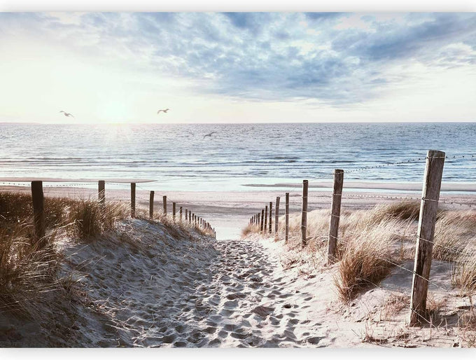 artgeist - Peel and Stick Wallpaper, Decor for Bedroom Beach Sea 154x110 in