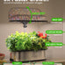 LETPOT LPH-SE Hydroponics Growing System, 12 Pods Smart Herb Garden Kit Indoor, Indoor Garden, APP & WiFi Controlled, with 24W Growing LED, 5.5L Water Tank, Pump System, Automatic Timer
