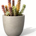Kante Modern Home Minimalist 14" Dia Blue Gray Concrete Bowl Planter