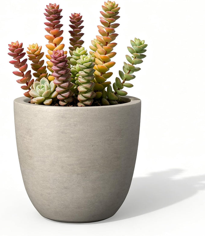 Kante Modern Home Minimalist 14" Dia Blue Gray Concrete Bowl Planter