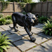 Large Golden Lion Garden Statue, 24" Resin Regal Sitting Lion Sculpture for Front Door, Luxury Home Entrance Guardian Decor, Outdoor Animal Figurine, Feng Shui Protection Beast