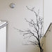 Stickerbrand© Nature Vinyl Wall Art Bare Tree Branch Wall Decal Sticker - Black, 72" x 42", Right to Left. Easy to Apply & Removable.