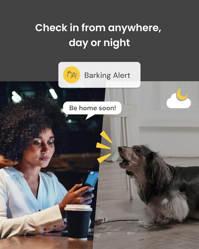 Furbo 360° Dog Camera [Core Features, No Ongoing Cost]