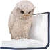 moses. B-Uhu-ch Bookend Decorative Object for Bookcase, 3D Owl as Stopper for Favourite Books, 83357, Large, Greige, Blue, White