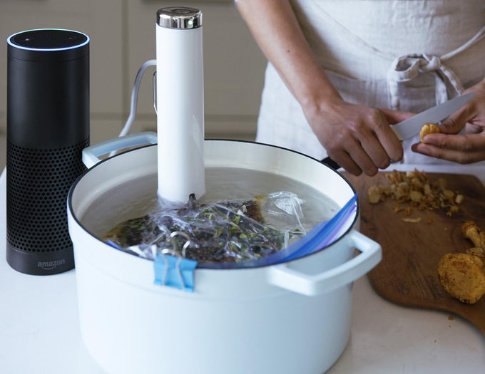 Breville Joule Sous Vide, 1100 Watts, White Body, Stainless Steel Cap & Base (CS10001)