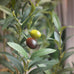 Bellacat Faux Olive Tree with Natural Wood Trunk, 7ft, 1Pack