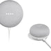 Google Nest Mini 1st Generation Bluetooth Speaker (International Version) with US Power Adapter (Chalk), Gray, GG1STAPG1