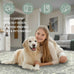5x7 Non-Slip Washable Livingroom Vintage Area Rug, Sage Green