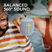 Ultimate Ears WONDERBOOM 4 Portable Waterproof Speaker - Black