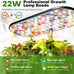 Ahopegarden Hydroponics Growing System Kit: 12 Pods with LCD Control Panel
