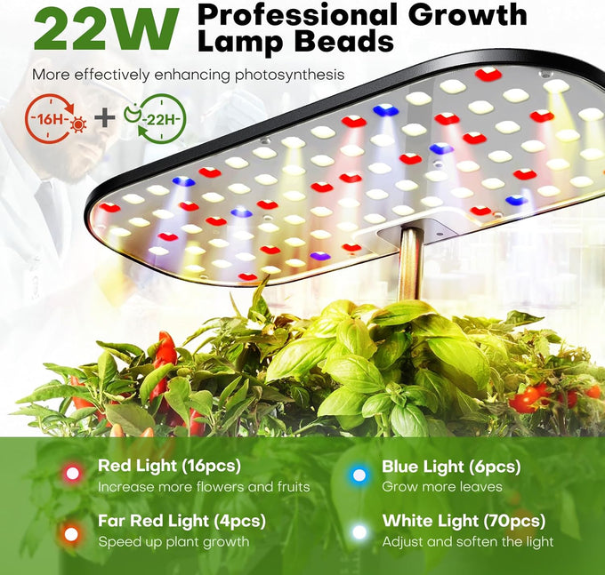 Ahopegarden Hydroponics Growing System Kit: 12 Pods with LCD Control Panel