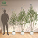VIVATREES Olive Trees Artificial Indoor, 7FT Tall Faux Olive Tree with White Tall Planter, Artificial Plants with Natural Wood Trunk and Lifelike Fruits for Home Office Decor