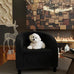 GarveeHome Accent Chair Living Room Chairs Barrel Boucle Chairs Comfy Armchairs for Bedroom Reading Room Reception Chairs(Black)
