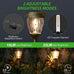 XMCOSY+ Solar Pathway Lights Outdoor 6 Pack, 2 Lighting Solar Garden Lights