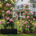 4 Pack Garden Trellis for Climbing Plants, 71 x 20 inch Rustproof Heavy Duty Metal Trellis for Climbing Rose Vine Clematis, Perfect for Premium Patio Decor & Luxury Outdoor Garden Design, Silver Gray
