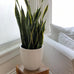Napa Round Cylinder Fiberglass Planter, White, 15.5 Inch