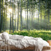 Reyhui Sunshine Forest Mural Wallpaper Landscape Tree
