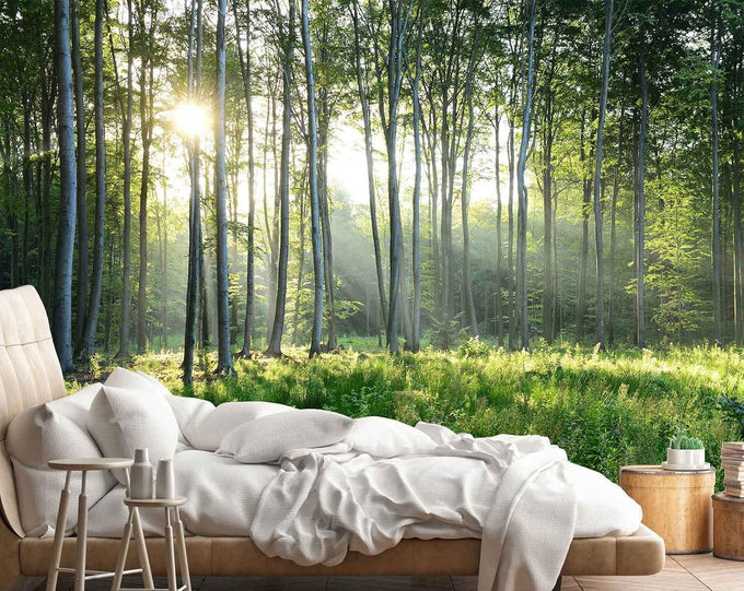 Reyhui Sunshine Forest Mural Wallpaper Landscape Tree