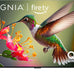 INSIGNIA 55-inch Class QF Series LED 4K UHD QLED Smart Fire TV with Alexa Voice Remote (NS55-UQFL26)
