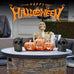 Stanbroil 10 Inch Fire Pits Imitated Human Metal Skull Halloween Decor