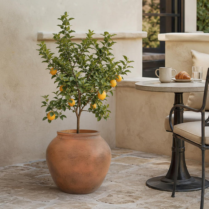 14" H x 17" Dia Distressed Terracotta Fiberstone Planter with Drainage Hole, Lightweight Flower Pot for Olive Trees & Houseplants, Indoor Outdoor Patio, Porch, Garden & Entryway Décor