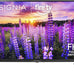 INSIGNIA 40" Class F40 Series LED Full HD Smart Fire TV, Voice Remote with Alexa, Free & Live TV